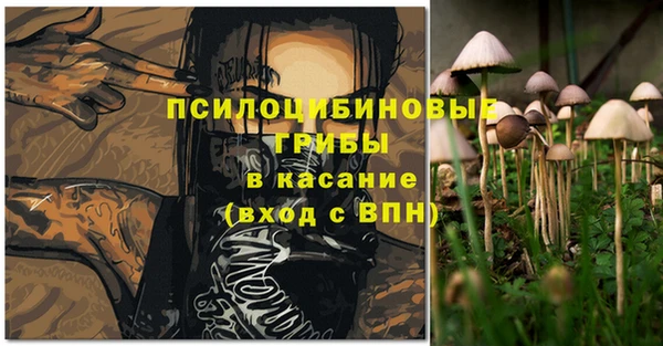 тгк Медногорск
