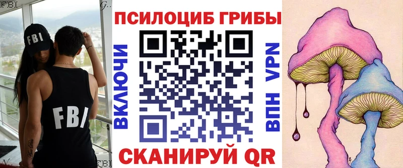 Галлюциногенные грибы GOLDEN TEACHER  Купить где  Михайлов 